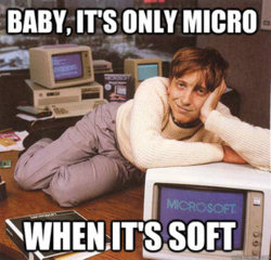 baby_its_only_micro