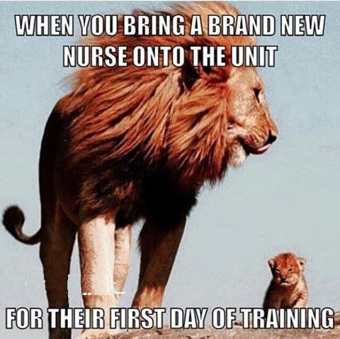 for_their_first_day_of_training