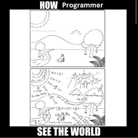 how_a_programmer_see_the_world