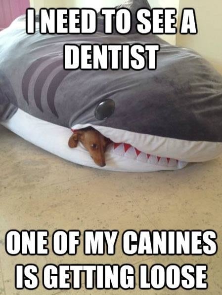 i_need_to_see_a_dentist