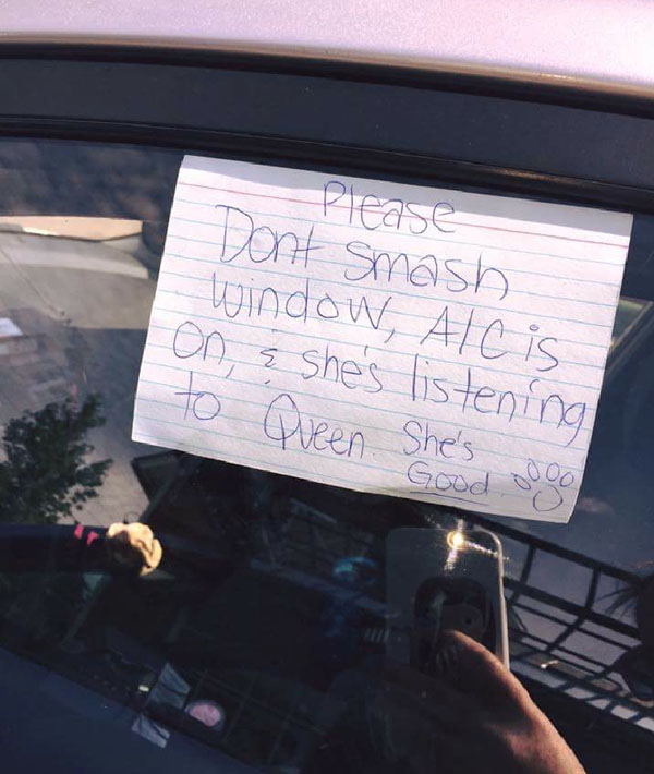 please_do_not_smash_window