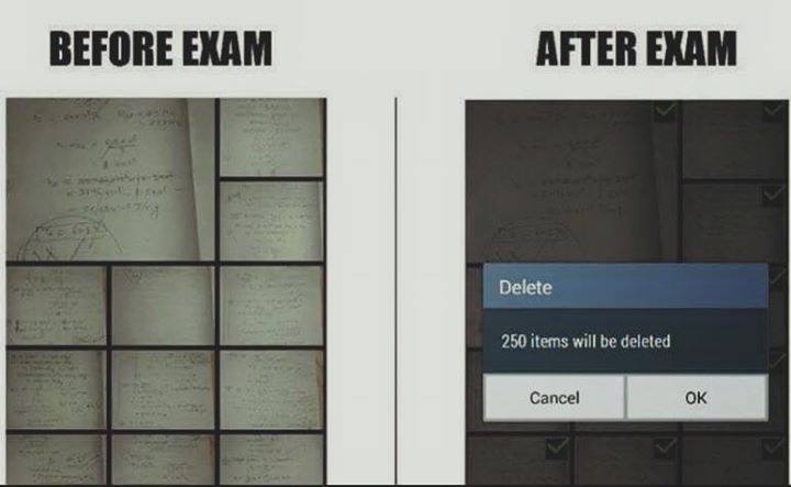 programmer_before_exam_and_after_exam