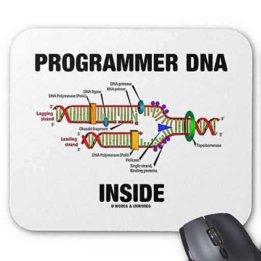 programmer_dna_inside