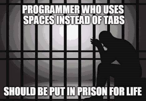 programmer_who_uses_spaces_instead_of_tabs