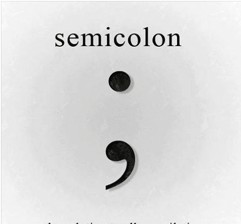 semicoion-210