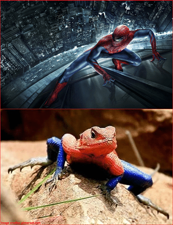 spiderman_and_the_lizards_lovechild