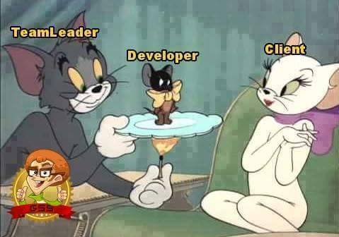 teamleader_vs_developer