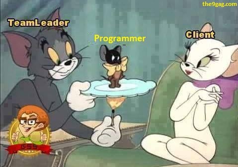 teamleader_vs_programmer