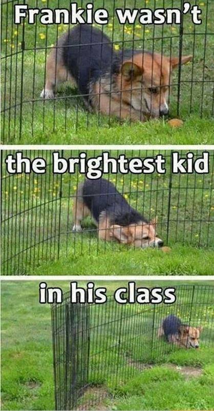 the_brightest_kid_in_his_class