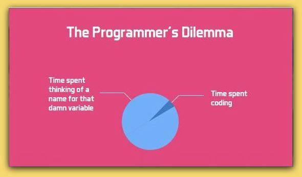 the_programmers_dilemma