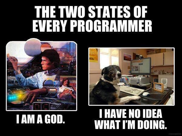 the_two_states_of_every_programmer